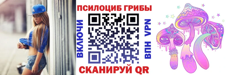 как найти   Певек  Псилоцибиновые грибы прущие грибы 